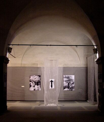 Trasmutazione - a Sculpture & Installation Artowrk by Maria Chiara Cecconi